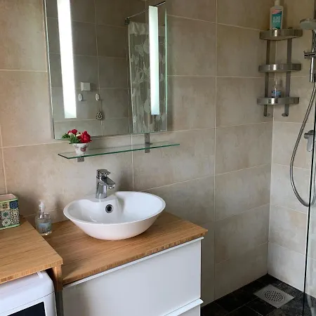 Merikotka كوريسارِ