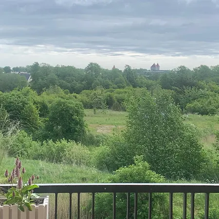 Merikotka * Kuressaare