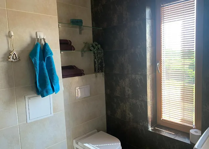 公寓 Merikotka 库雷萨雷