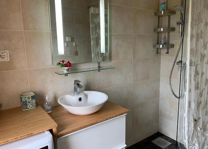 Merikotka 库雷萨雷