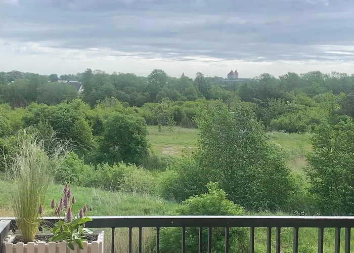 Merikotka * Kuressaare