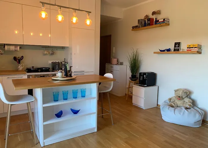 Merikotka 库雷萨雷